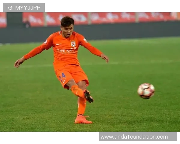 足球场上的梦想与荣耀:与足球明星共谱的青春传奇小说